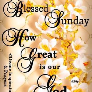 Meet your Posher, Dashanique